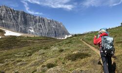 Guided hikes near me sale